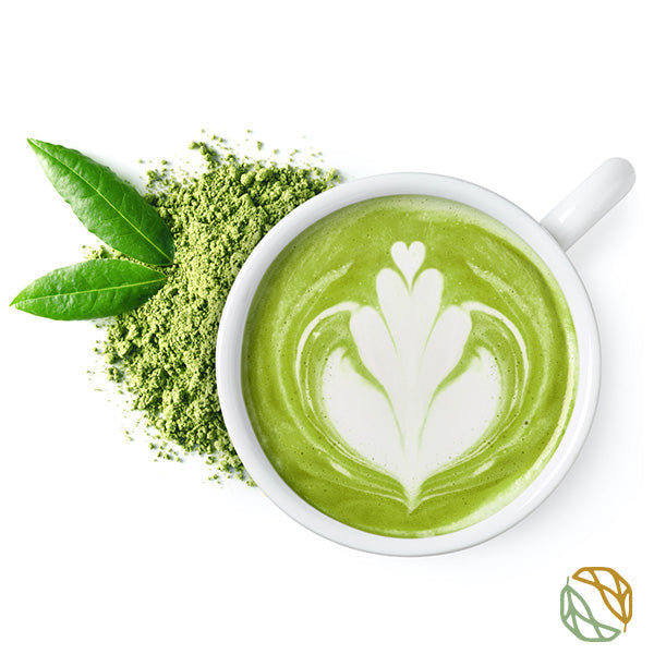 Matcha for lattes - 500g (BULK BUY)